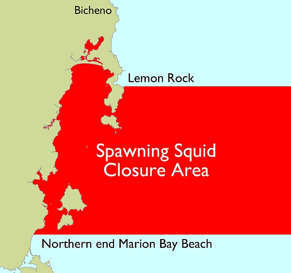 NW calamari closure 2019 east coast