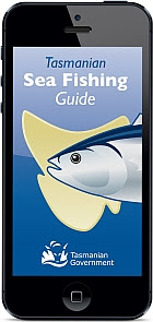 fishing-news-app
