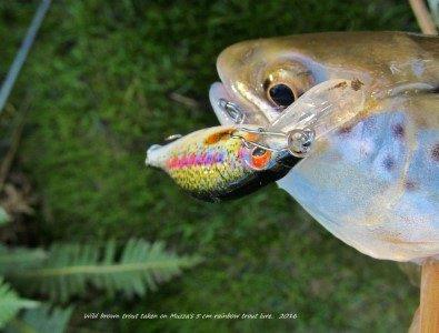 2016 08 17 muzzas 5 cm rainbow trout hard body lure