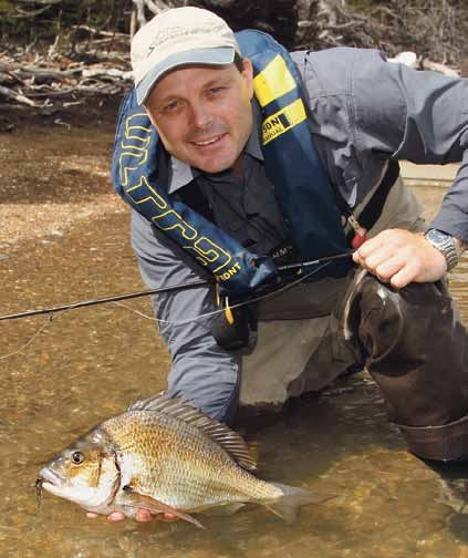 102 life learning gold boomer bream