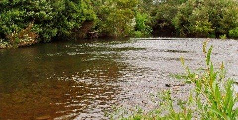 2017 12 06 Best trout taken in the side water run Meander River