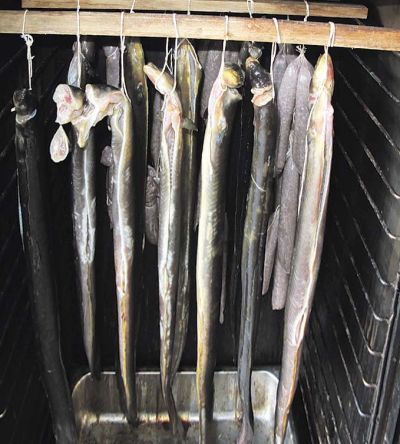 113 smoked eel hanging