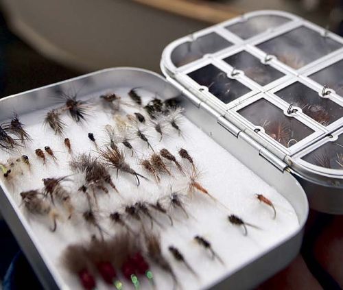 115 fish more fly box