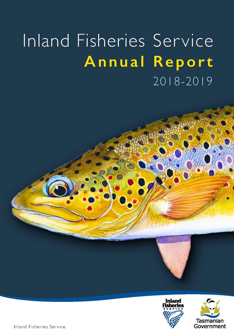 ifs annual report 2019