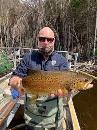 camden dam brown trout